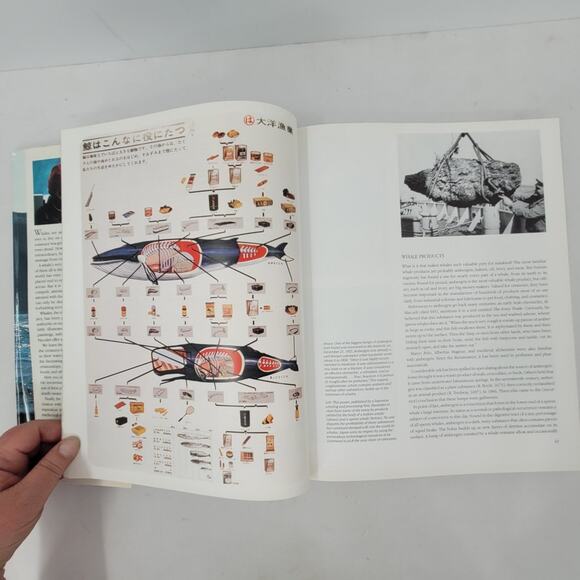 Jacques Cousteau Whales‎ by Jacques-yves Paccalet 1988 Hardcover Book Nature - Picture 8 of 10